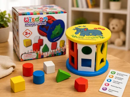 Completa Clasificador de Figuras Geométricas de Madera